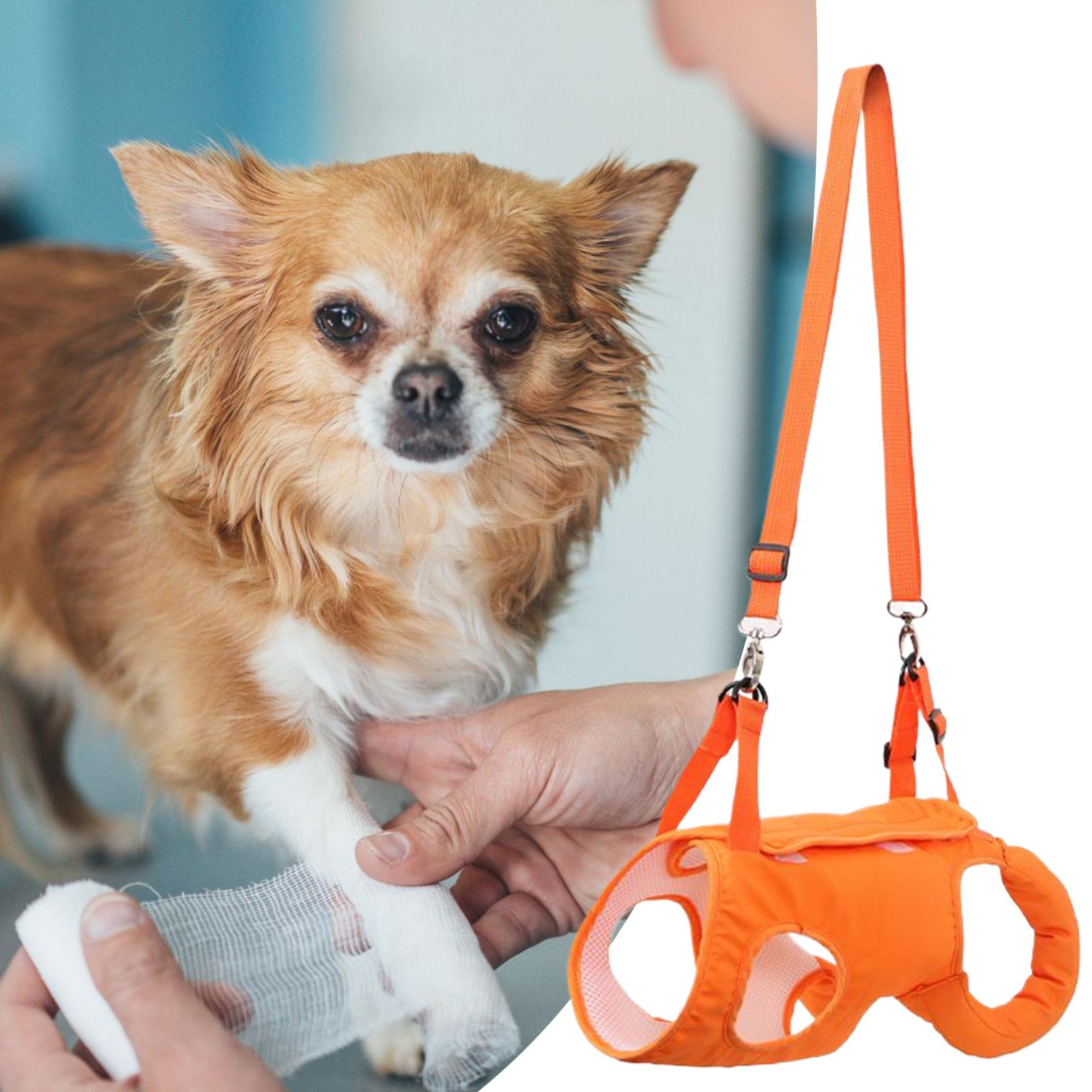 大型犬用スリングキャリア、犬用階段ヘルパー、リフトサポートハ - Ladder Toss Set のレビューと価格