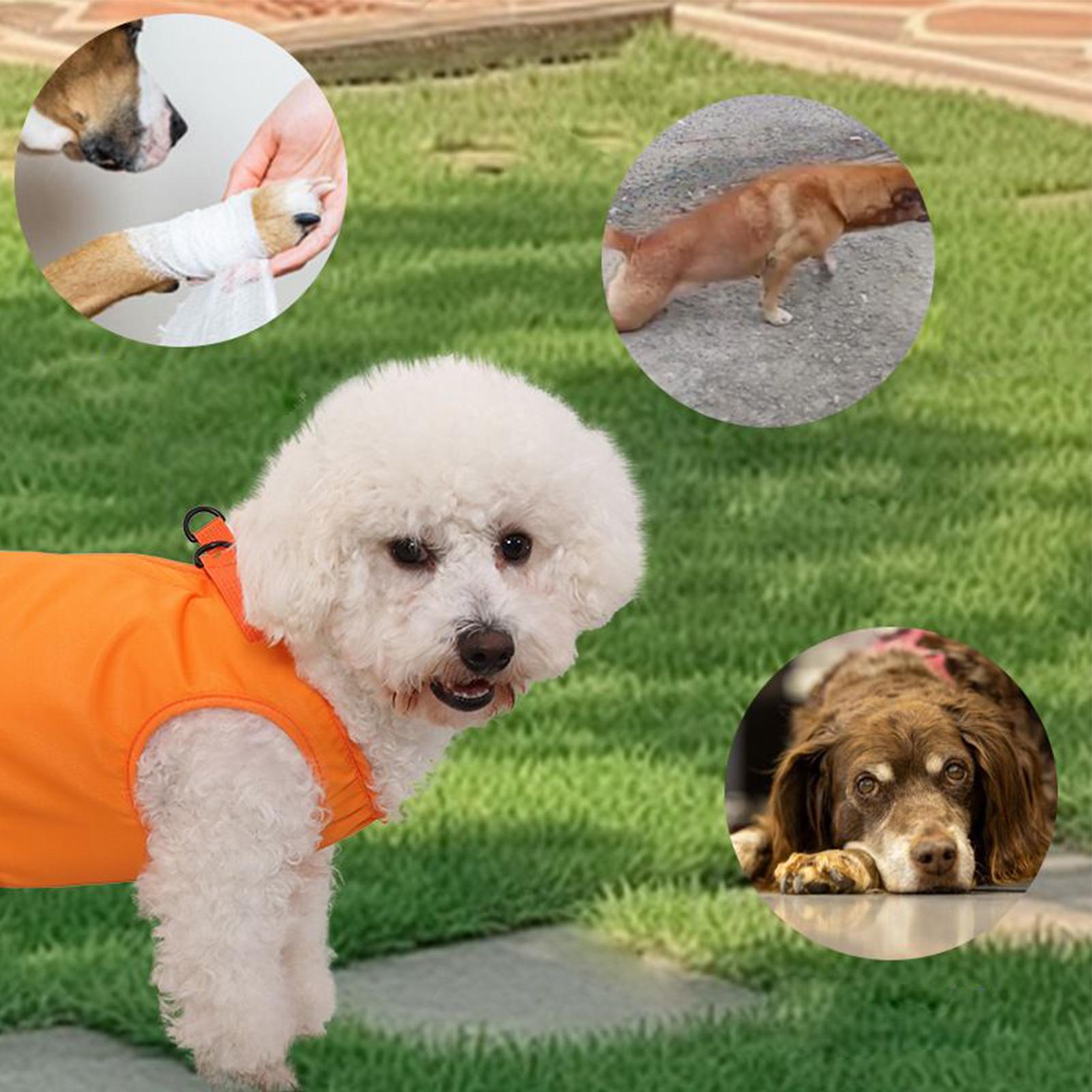大型犬用スリングキャリア、犬用階段ヘルパー、リフトサポートハ - Ladder Toss Set のレビューと価格